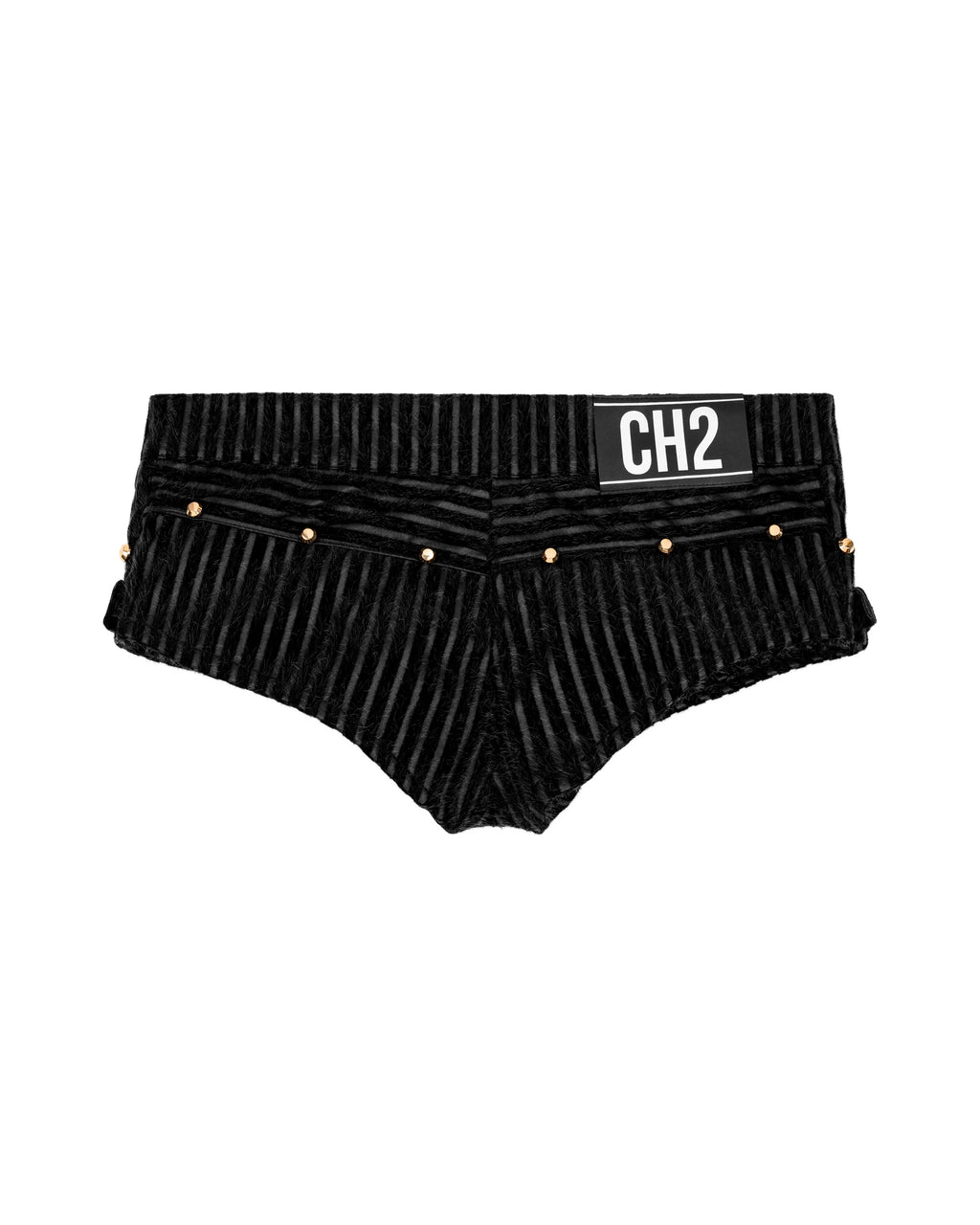 CH2 Stripped LOW RISE Biker Short